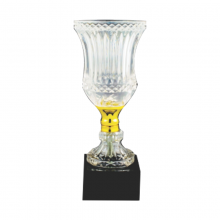 ICT102 Crystal Trophy