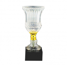 ICT102 Crystal Trophy