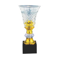 ICT103 Crystal Trophy