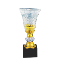 ICT103 Crystal Trophy