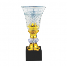 ICT103 Crystal Trophy