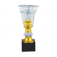 ICT103 Crystal Trophy