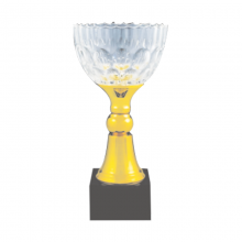 ICT104 Crystal Trophy