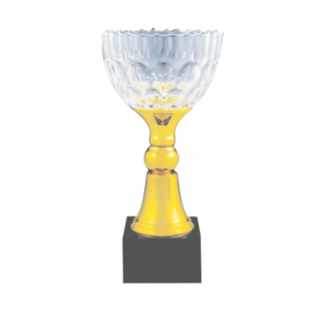ICT104 Crystal Trophy