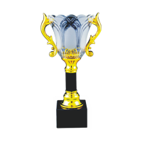 ICT105 Crystal Trophy