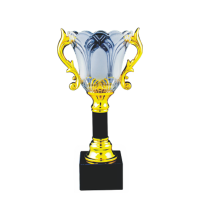 ICT105 Crystal Trophy