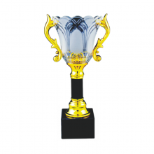 ICT105 Crystal Trophy