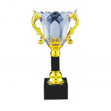 ICT105 Crystal Trophy