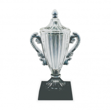 ICV062 Crystal Trophy