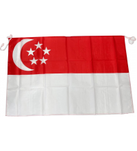 Singapore National Day Flag
