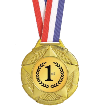 15053 Plastic Medal