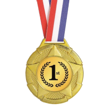 15053 Plastic Medal