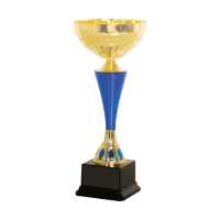 38279 Metal Trophy 