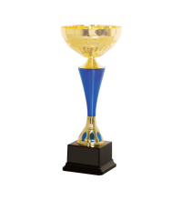 38279 Metal Trophy 