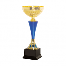 38279 Metal Trophy 