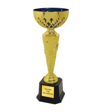 38327 Metal Trophy