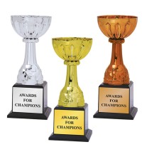 38341 Metal Trophy