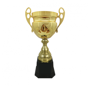 BAW403 Metal Trophy 