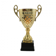 BAW492 Metal Trophy 