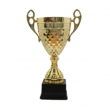 BAW492 Metal Trophy 