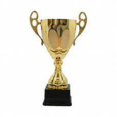 BAW510 Metal Trophy 