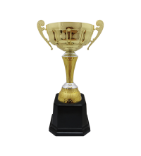 BAW692 Metal Trophy 