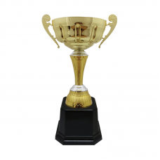 BAW692 Metal Trophy 