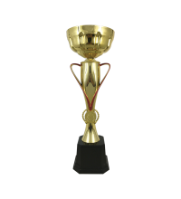 BAW699 Metal Trophy 