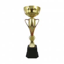 BAW699 Metal Trophy 