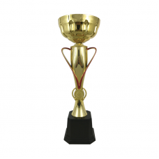 BAW699 Metal Trophy 