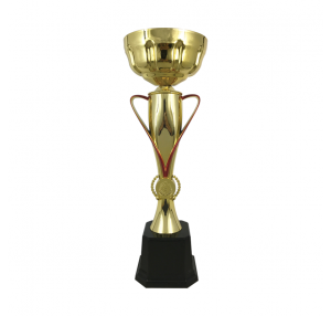 BAW699 Metal Trophy 