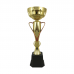 BAW699 Metal Trophy 