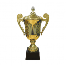 BAW984  Metal Trophy