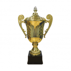 BAW984  Metal Trophy