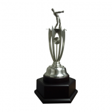 Pewter 1004 Golf Trophy