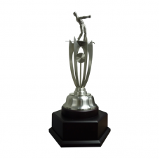 Pewter 1004 Golf Trophy