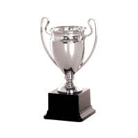 19340S Plastic Trophy