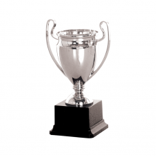 19340S Plastic Trophy