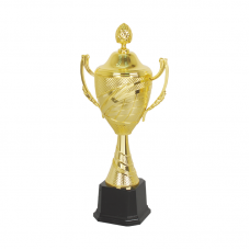 19374 Plastic Trophy