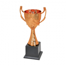 19409 Plastic Trophy