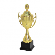 19484G Plastic Trophy