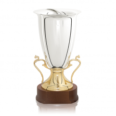 Series 16380 Premium Trophy