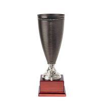Series 13710 Premium Trophy