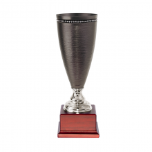 Series 13710 Premium Trophy