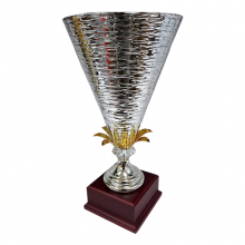 Art 11227 Premium Trophy