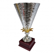 Art 11227 Premium Trophy