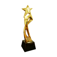 Star Resin Trophy