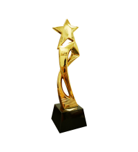 Star Resin Trophy