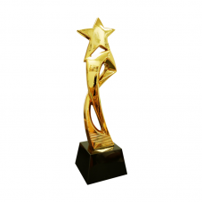 Star Resin Trophy